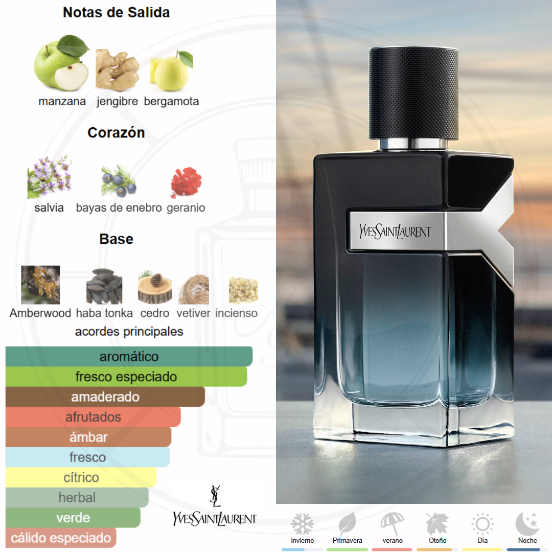 Y EDP