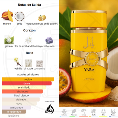 Yara Tous